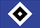 HSV